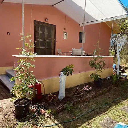 House * Лефкими